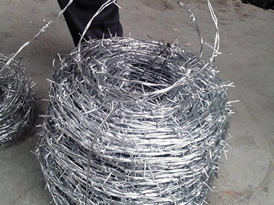 熱鍍鋅刺繩 熱鍍鋅刺繩