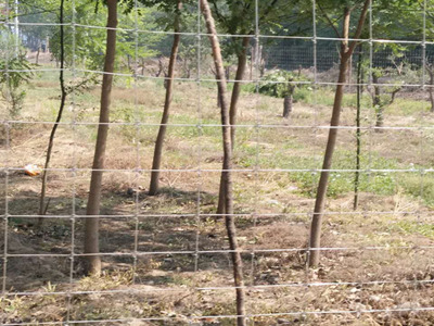 鹿網(wǎng)圍欄 鹿網(wǎng)圍欄