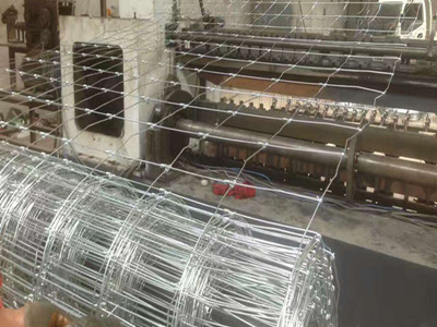 鹿網(wǎng)圍欄 鹿網(wǎng)圍欄