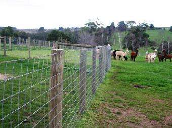 牛欄網(wǎng).jpg 牛欄網(wǎng).jpg